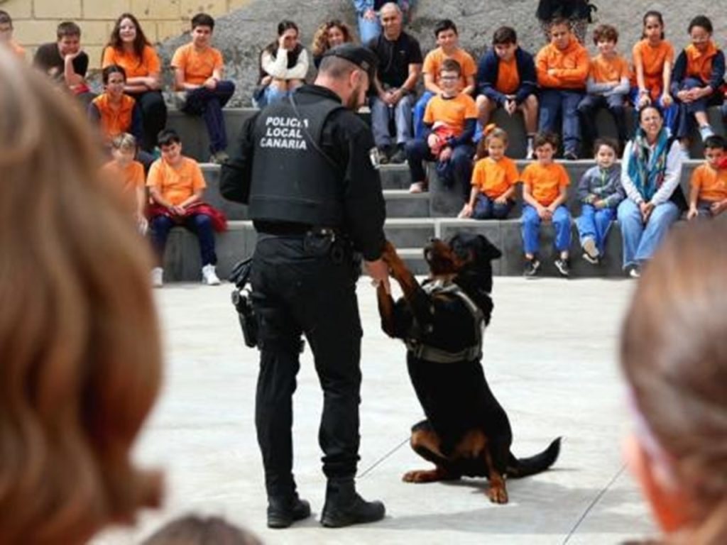 policia local