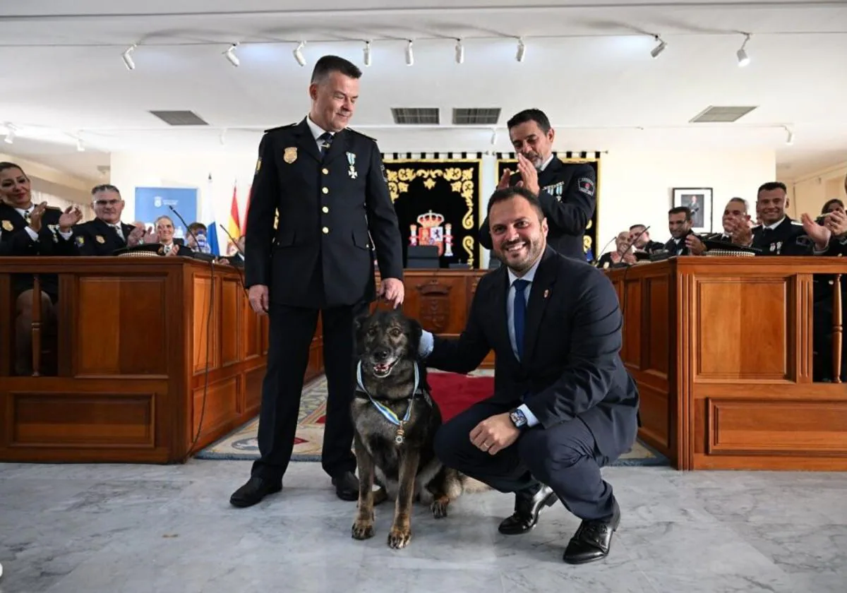 Polizeihund